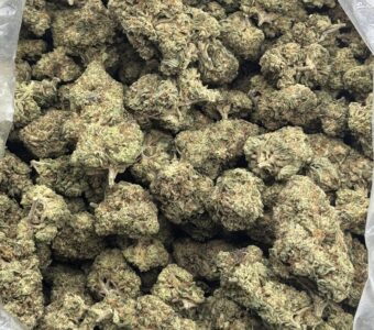$600 LB Special – Banana Mac (Hybrid)