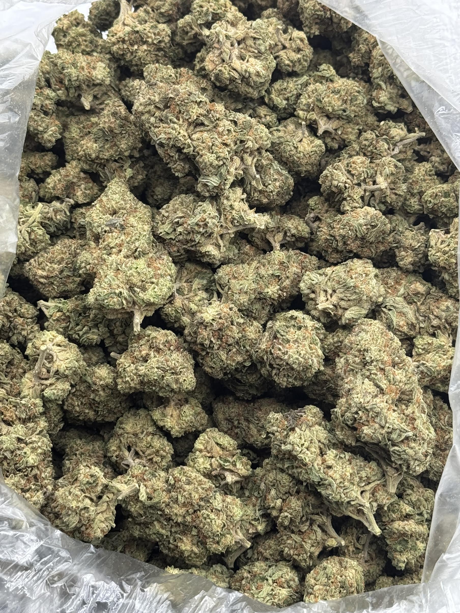 $600 LB Special - Banana Mac (Hybrid)