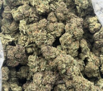 $615 LB Special – Jungle Juice (Hybrid)