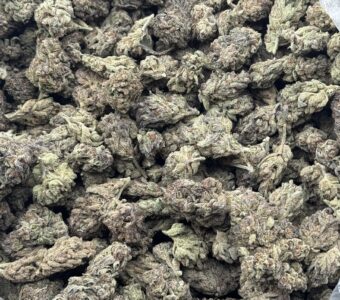 $600 LB Special – Sweet Tooth (Indica)