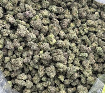 $850 Small Buds LB Special – White Cherry Gelato (Hybrid)