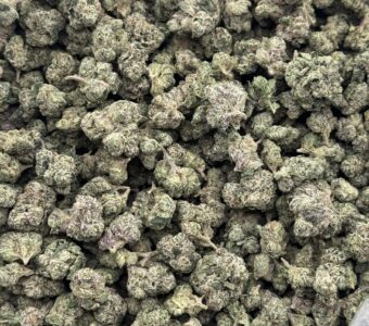 $850 Small Buds LB Special – Black Cherry Gelato (Hybrid)