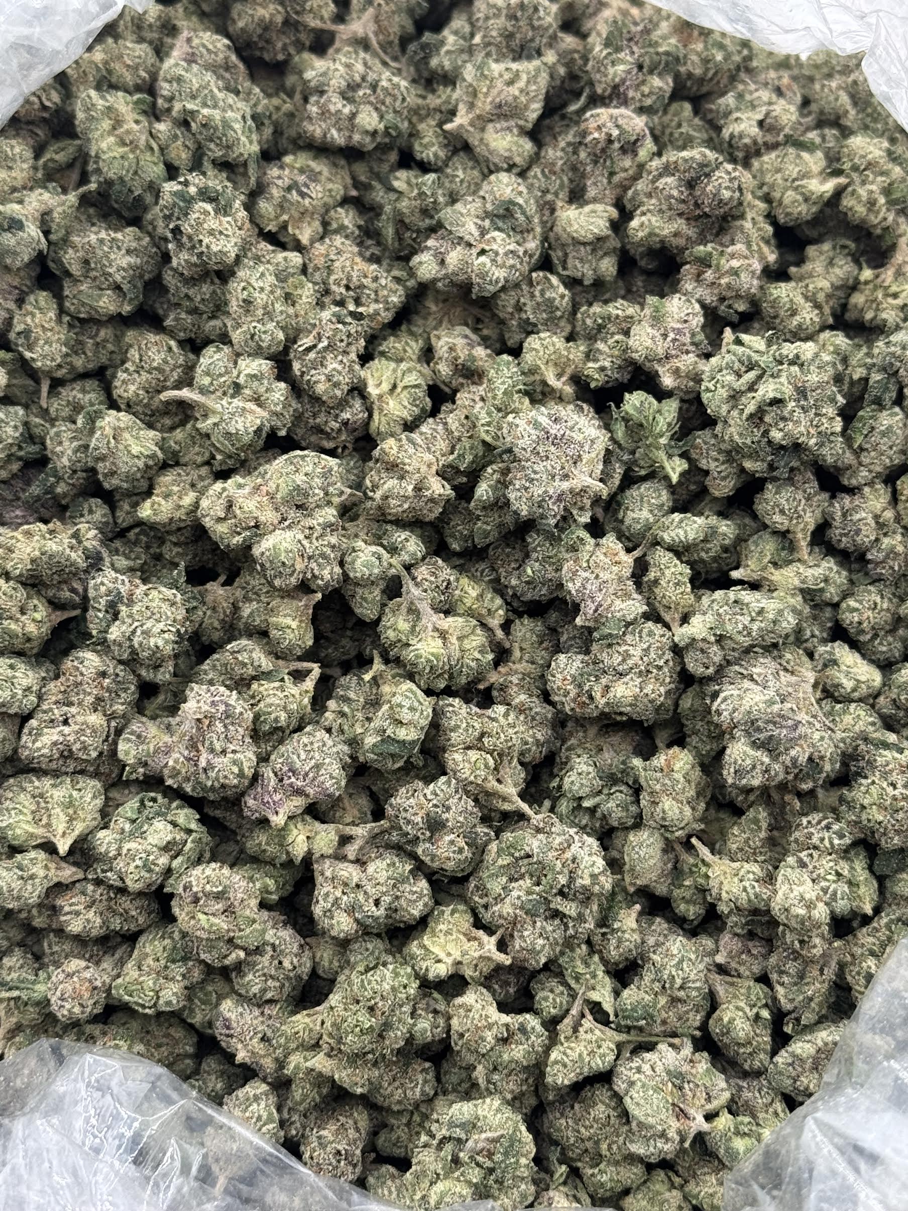 $850 Small Buds LB Special - Black Cherry Gelato (Hybrid)