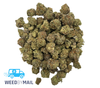 Tier 2 (Small Buds) Abusive OG (31.84% THC)(Indica)