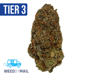 Tier 3 Nightshade (28.91% THC) (Indica)