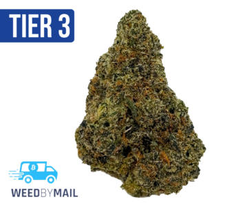 Tier 3 Milk Man (28.84% THC) (Indica)