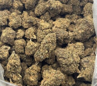 $150 LB Special – Cannatonic (Indica)