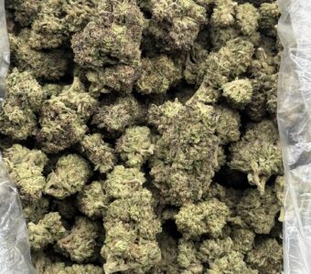 $775 LB Special – Guava (Hybrid)
