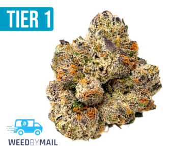 Tier 1 Permanent Marker (36.84% THC)(Hybrid)