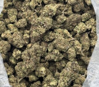 $515 LB Special – Peach Kush (Hybrid)