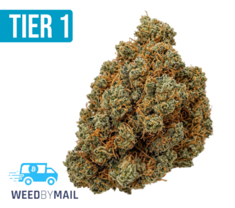 Tier 1 Dutch Treat (36.84% THC)(Sativa)