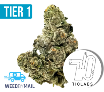 Tier 1 Kimbo Kush (35.75% THC)(Indica)
