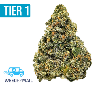 Tier 1 Grateful Breath (36.91% THC)(Hybrid)