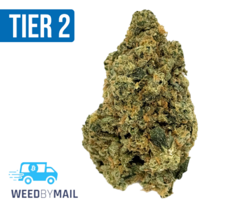 Tier 2 Jager (32.93% THC)(Indica)