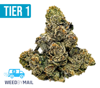 Tier 1 Velvet Glove (35.73% THC)(Hybrid)