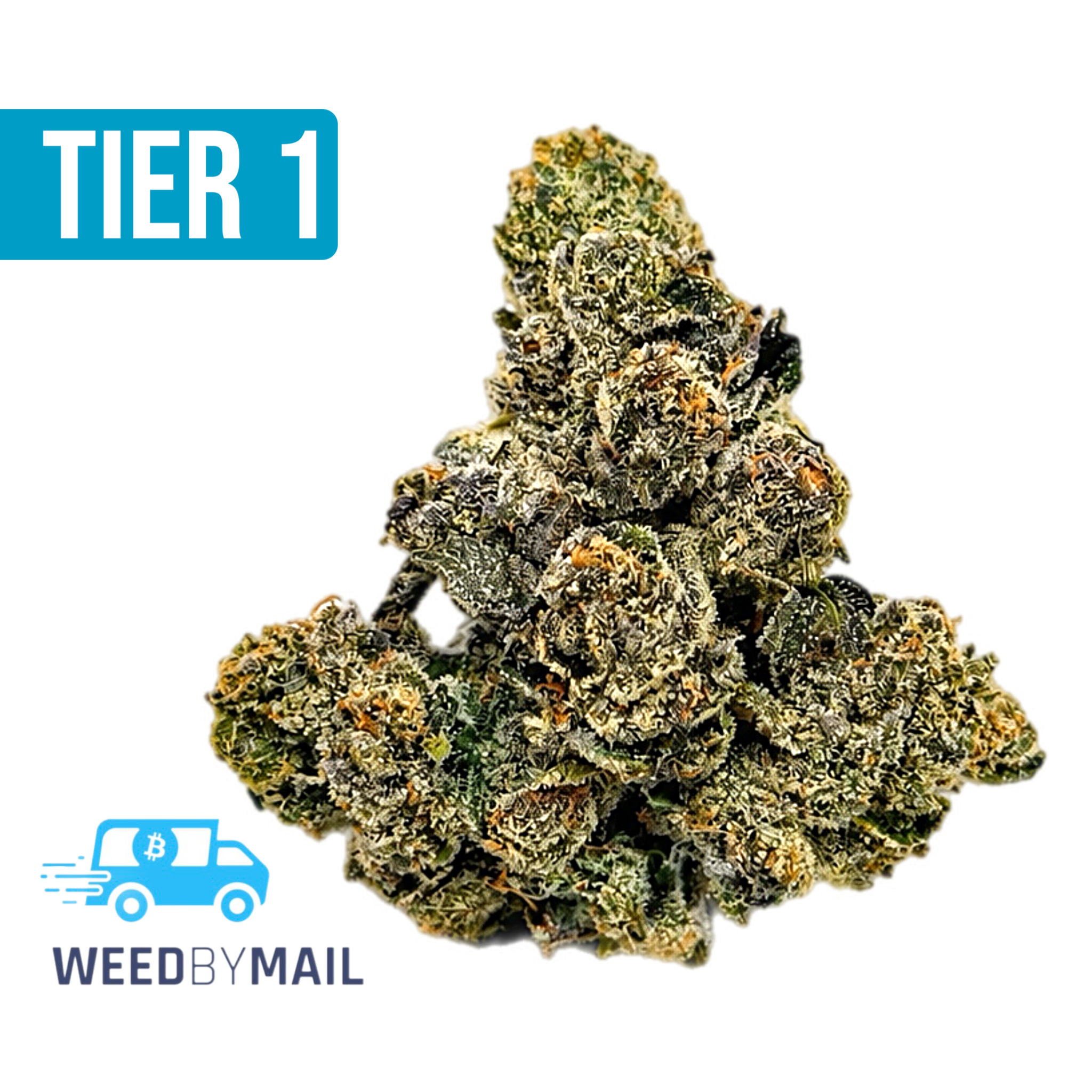 Tier 1 Velvet Glove (35.73% THC)(Hybrid)