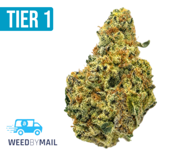 Tier 1 Bay 11 (36.91% THC)(Sativa)