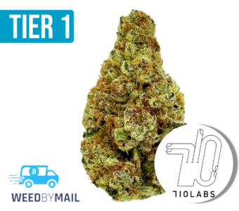 Tier 1 710 Mango (36.78% THC)(Hybrid)