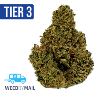 Tier 3 Ghost Train (28.91% THC) (Sativa)