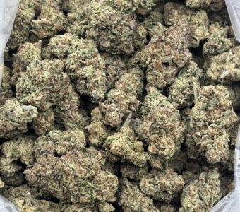 $760 LB Special – Acapulco Gold (Sativa)