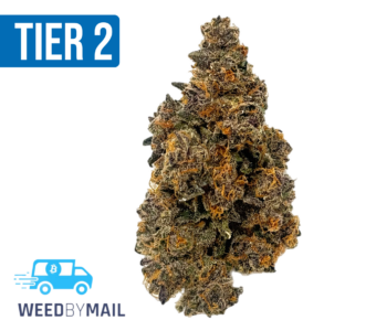 Tier 2 Candyland (32.98% THC) (Sativa)