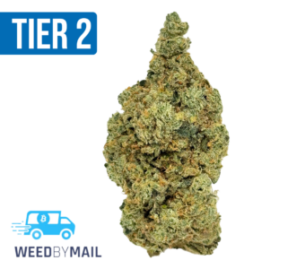 Tier 2 Crypto Chronic (32.84% THC)(Hybrid)