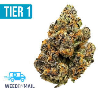 Tier 1 Pineapple Express (36.92% THC)(Hybrid)