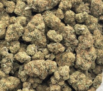 $575 LB Special – Papaya Bomb (Hybrid)