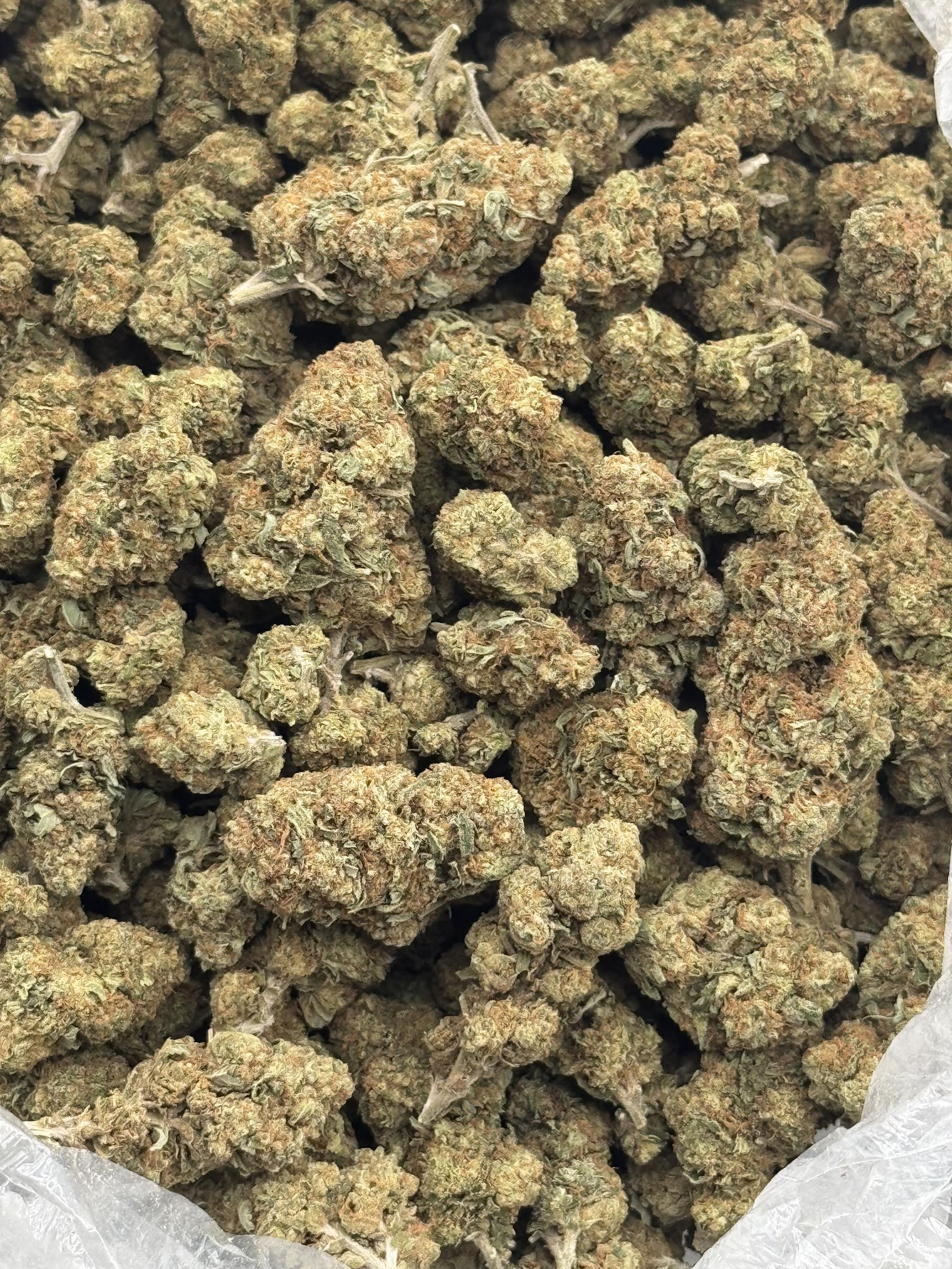 $575 LB Special - Papaya Bomb (Hybrid)