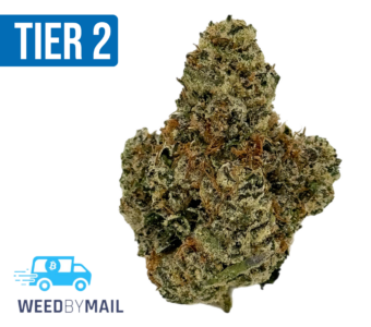 Tier 2 Granddaddy Purp (32.88% THC)(Indica)