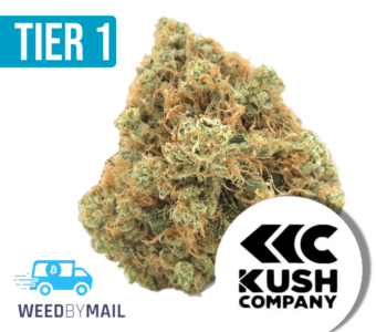 Tier 1 King Mamba OG (35.78% THC)(Indica)
