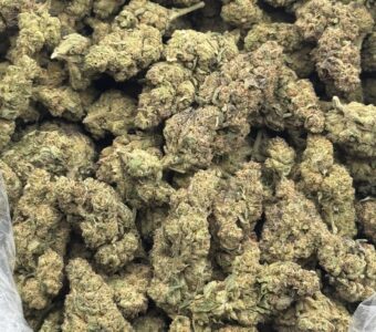 $600 LB Special – 4 Kings (Indica)