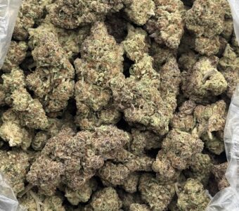 $780 LB Special – Slurricane (Indica/Hybrid)