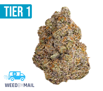 Tier 1 Purple Rhino (36.93% THC)(Hybrid)