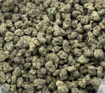 $950 Small Buds Indoor – Lemon Cherry Gelato (Hybrid)