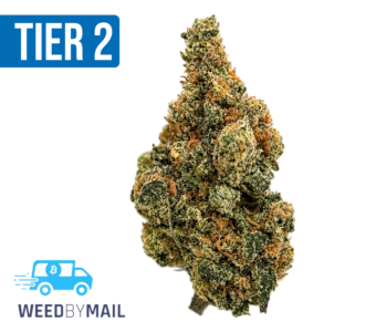 Tier 2 Blue Dream (32.94% THC) (Sativa)
