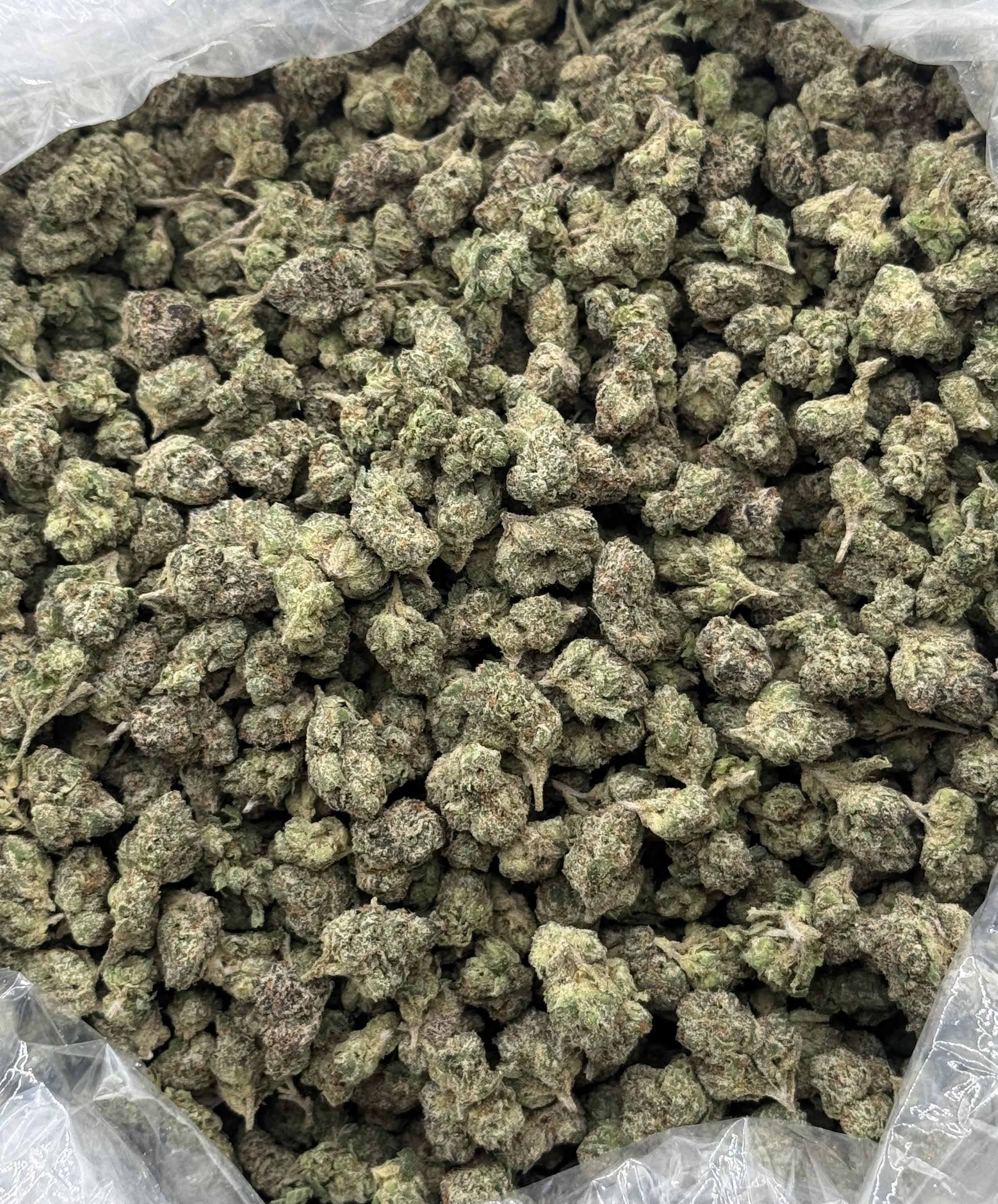 $950 Small Buds Indoor - Lemon Cherry Gelato (Hybrid)