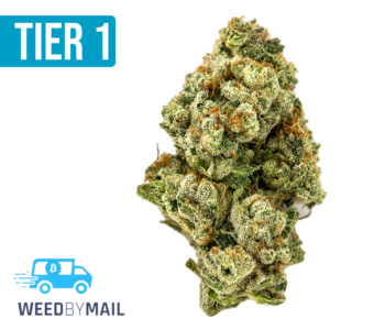 Tier 1 Marathon OG (35.94% THC)(Indica)