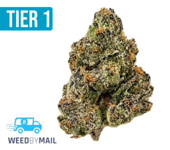 Tier 1 Toad Venom (36.84% THC)(Hybrid)