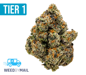 Tier 1 God Bud (35.96% THC)(Indica)