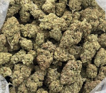 $780 LB Special – Bay Platinum Cookies (Sativa)