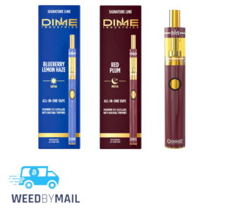 Dime – 2G Disposable Pen (12 Options)
