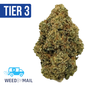 Tier 3 King Louis (28.93% THC) (Indica)