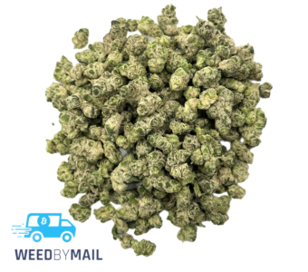 Tier 2 (Small Buds) Pearadise (31.73% THC)(Sativa)