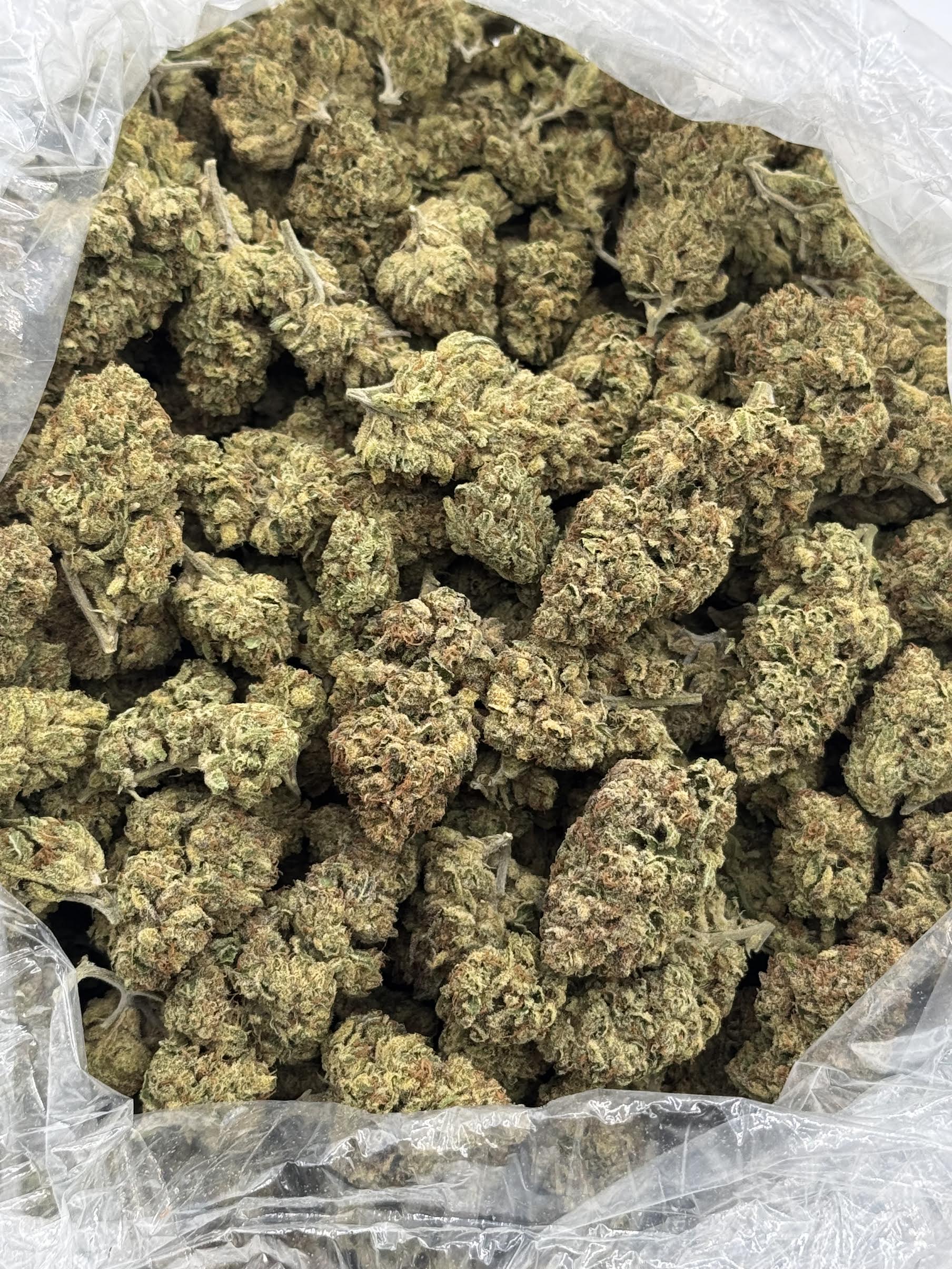 $780 LB Special - Bay Platinum Cookies (Sativa)
