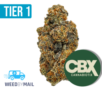 Tier 1 Blueberry (35.82% THC)(Indica)