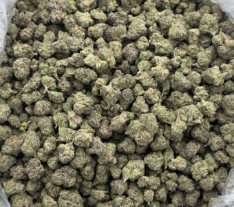 $950 Small Buds Indoor – Jammerz (Indica/Hybrid)