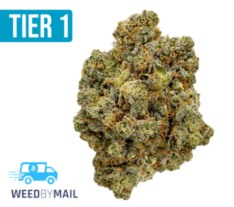 Tier 1 Cuban Affair (36.83% THC)(Sativa)