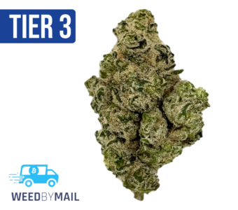 Tier 3 White Zlurpee (28.97% THC) (Hybrid)