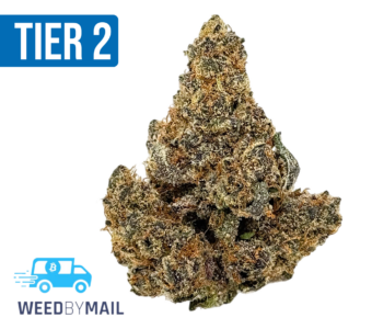 Tier 2 Super Lemon Purps (32.87% THC) (Sativa)
